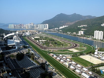 sha tin racecourse hongkong