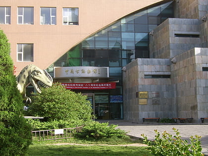 Musée paléozoologique de Chine