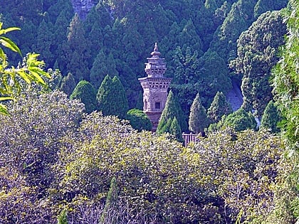 Dragon-and-Tiger Pagoda