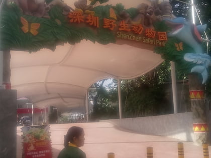 safari park shenzhen