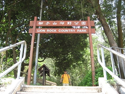 lion rock country park hong kong