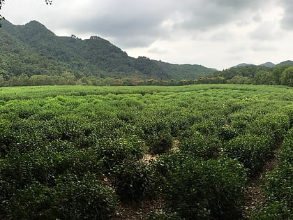 China National Tea Museum