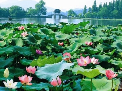 Jardín botánico de Hangzhou