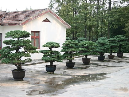 jardin botanico de shanghai