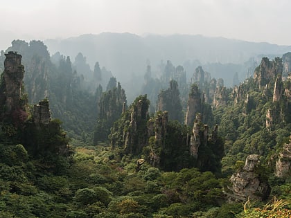 narodowy park lesny zhangjiajie wulingyuan