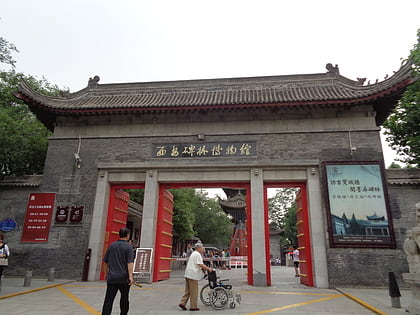district de beilin xian