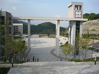 universite des etudes internationales du sichuan chongqing