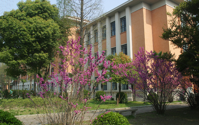 Tongji University