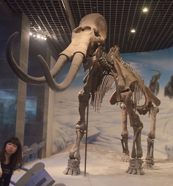 Musée de Mongolie-Intérieure
