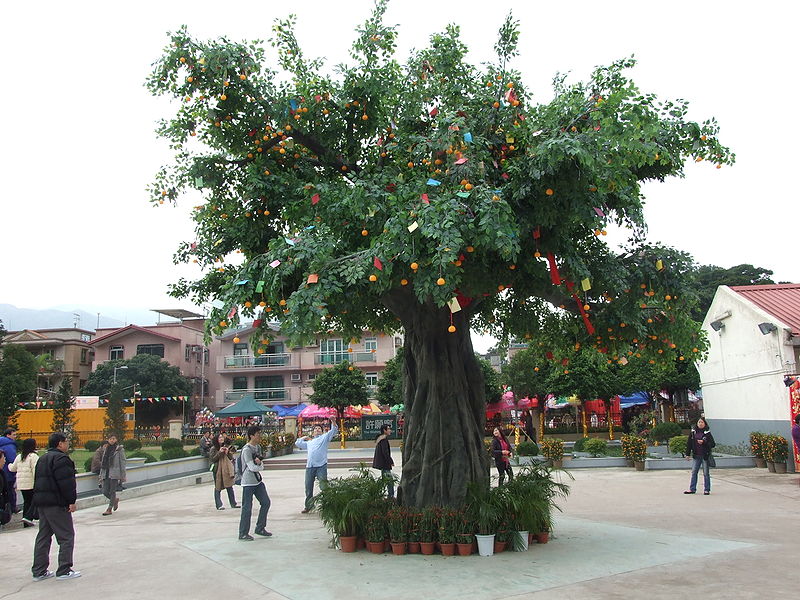 Lam Tsuen wishing trees