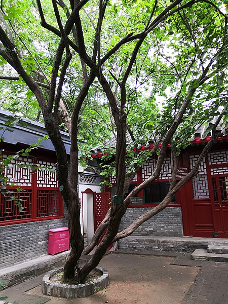 Beijing Lu Xun Museum