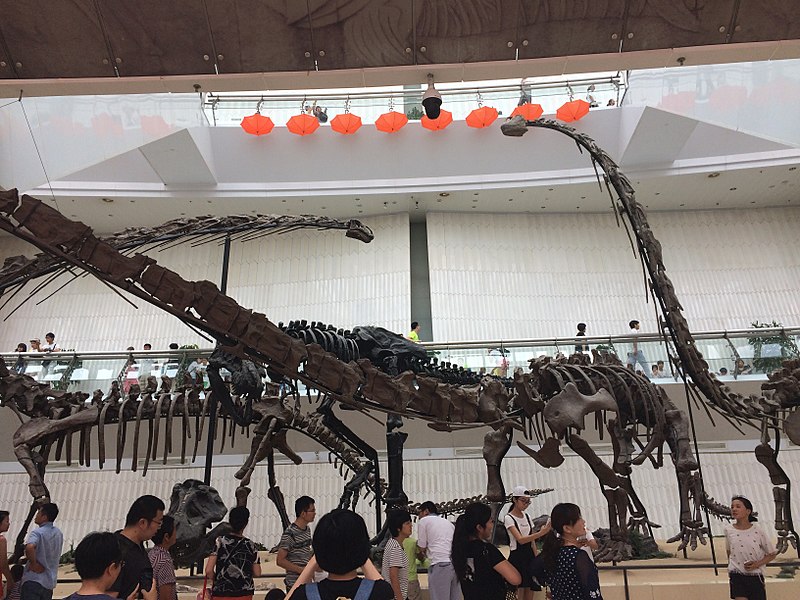Tianjin Natural History Museum