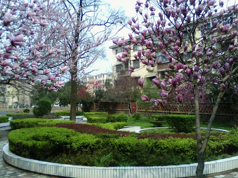 Fuyang Teachers College