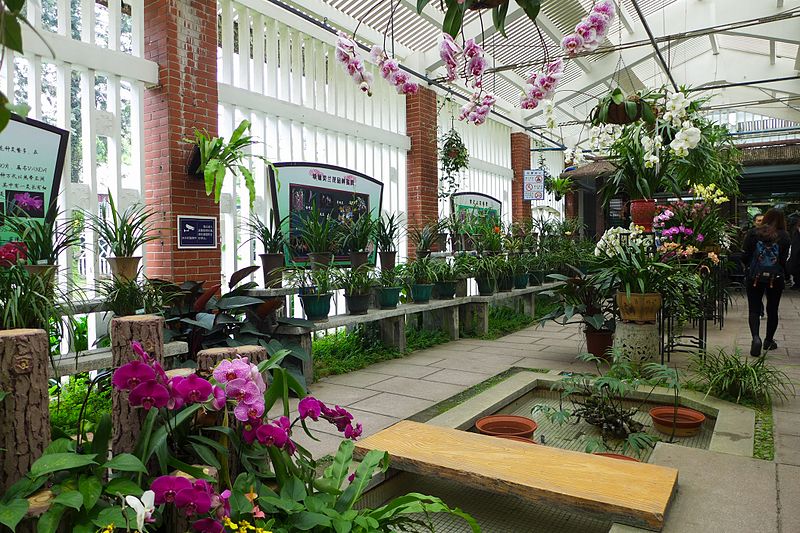 Canton Orchid Garden