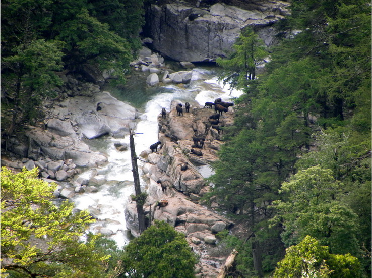 Three Parallel Rivers National Park