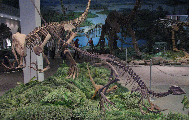 Musée des dinosaures de Zigong