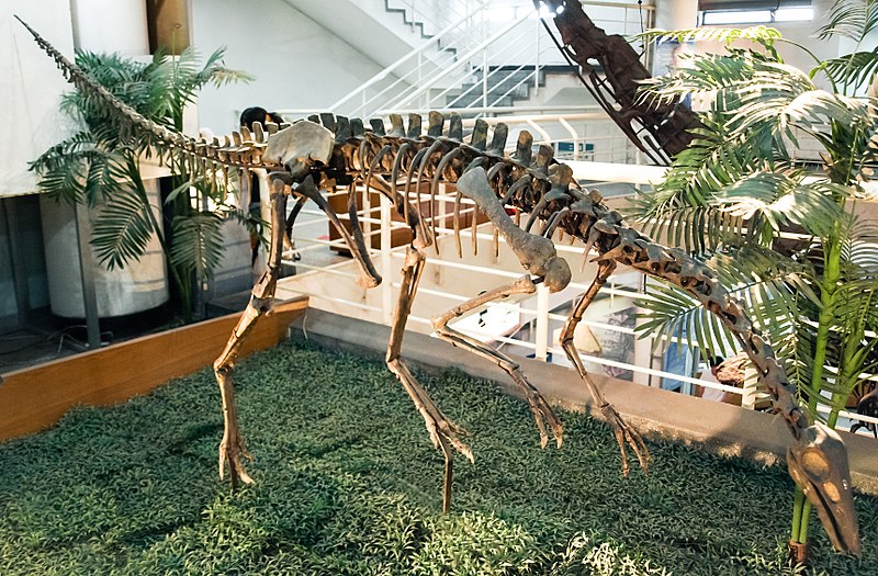 Musée paléozoologique de Chine