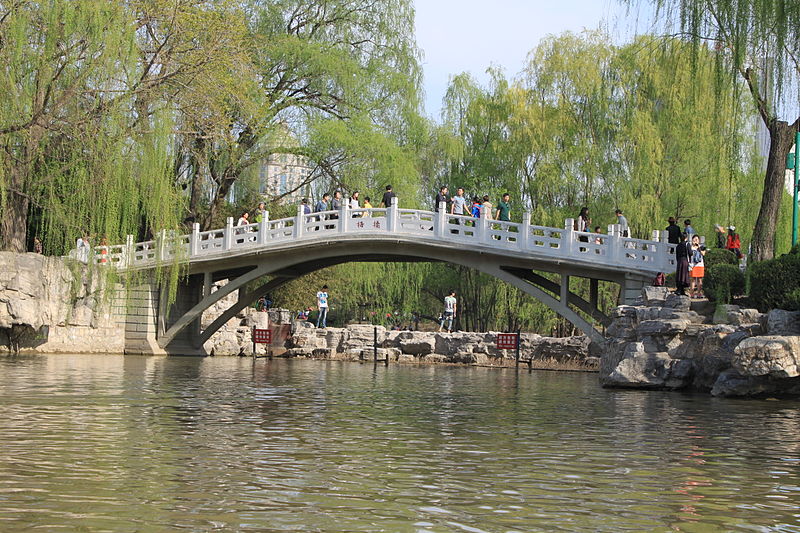 Purple Bamboo Park