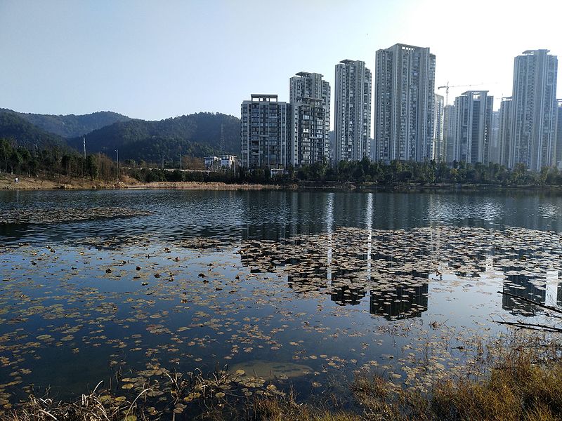 Meixi Lake Park