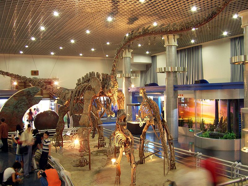 Naturhistorisches Museum Peking