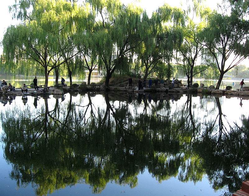 Parc des Bambous pourpres