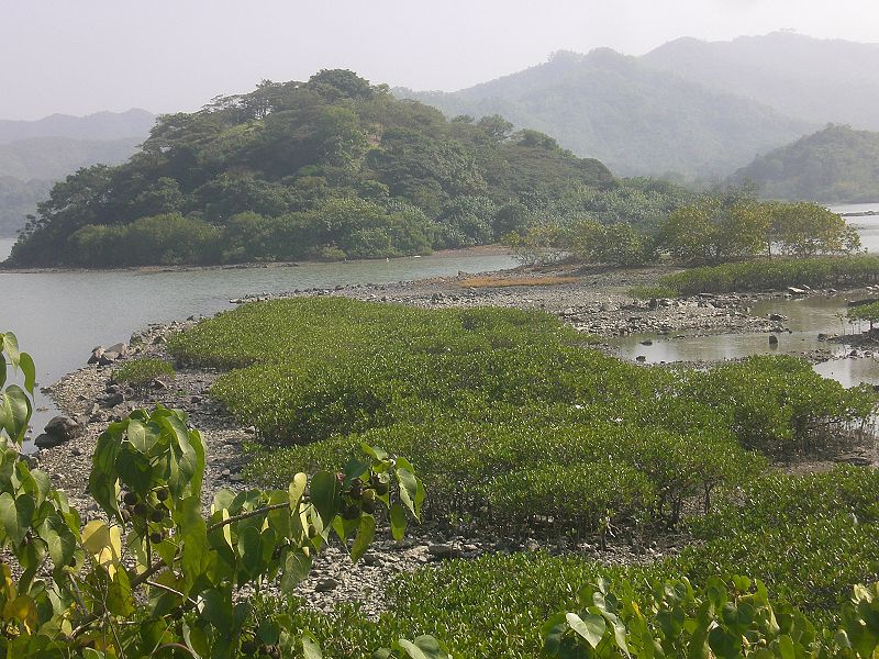 Starling Inlet