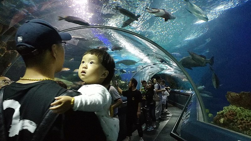 Aquarium océanique de Shanghai