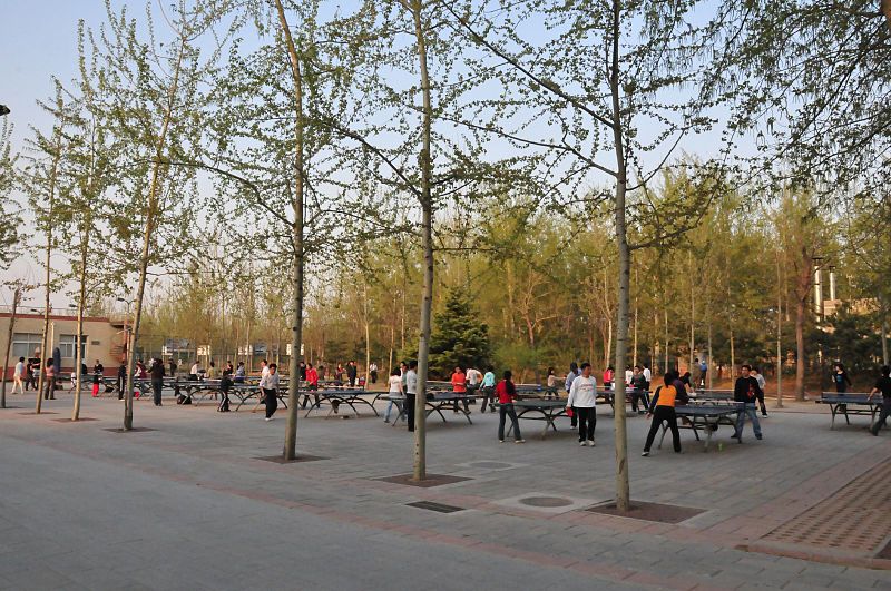 Chaoyang-Park