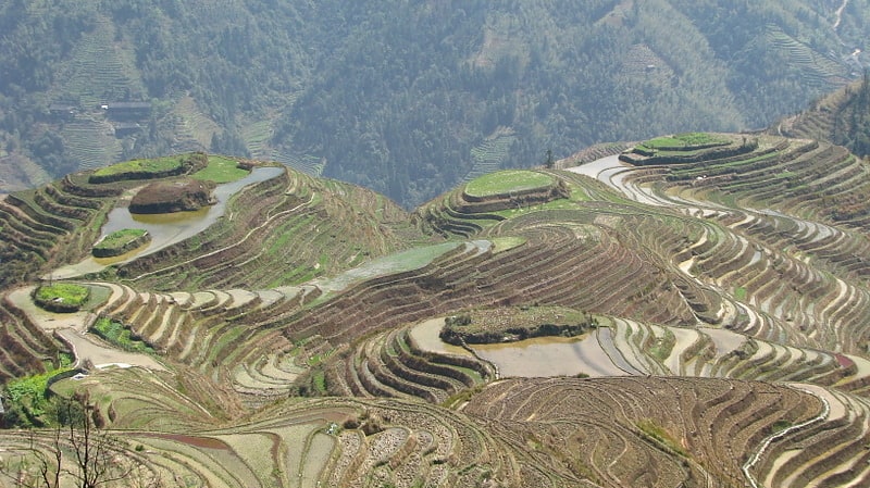 Longsheng Rice Terraces, China