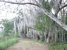 Laguna de Sonso Nature Reserve