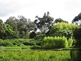 Córdoba Wetland