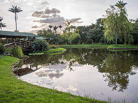 bogota botanical garden