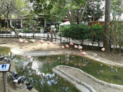 parc zoologique de barranquilla