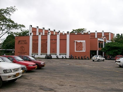 Universidad de los Llanos