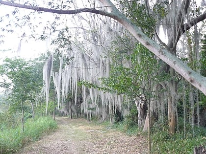 Rezerwat Przyrody Laguna de Sonso