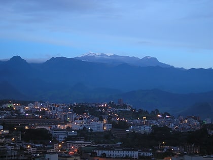 cauca valley montane forests pereira