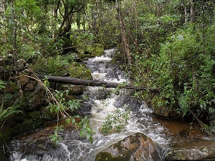 Santuario de fauna y flora Iguaque