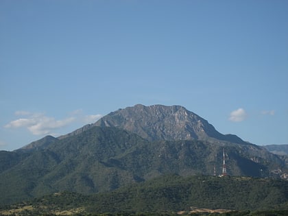 Bosques montanos de Santa Marta