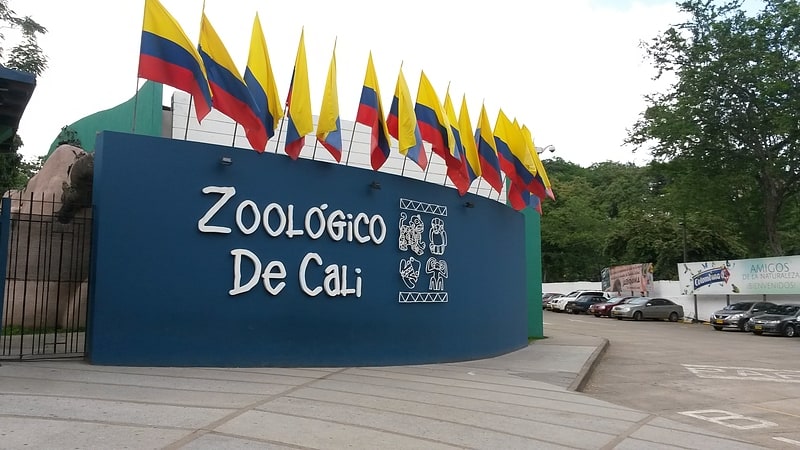 parc zoologique de cali