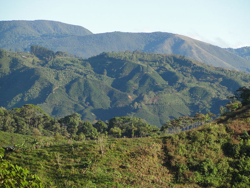 Parque nacional del Café