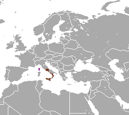 lepus corsicanus
