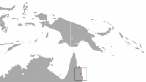 Cinereus ringtail possum