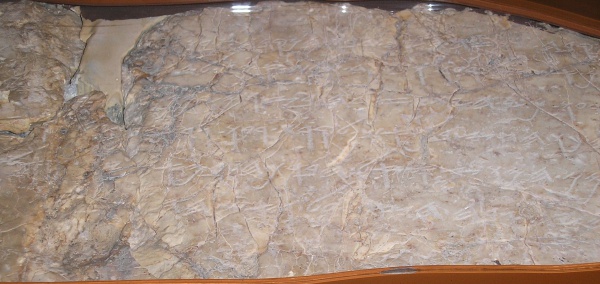 inscripcion de siloe