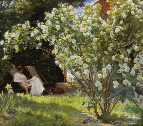 Roses (Krøyer)