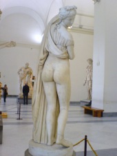 Venus Calipigia