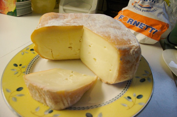 nasal cheese