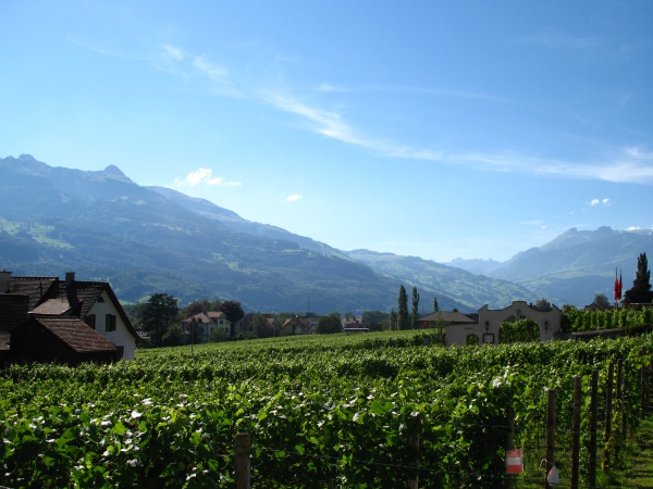 viticulture au liechtenstein