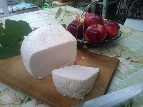 fromage tcherkesse