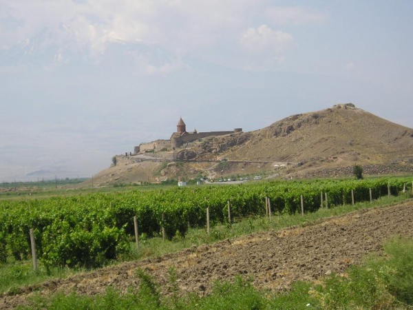 Viticulture en Arménie
