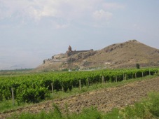 Viticulture en Arménie